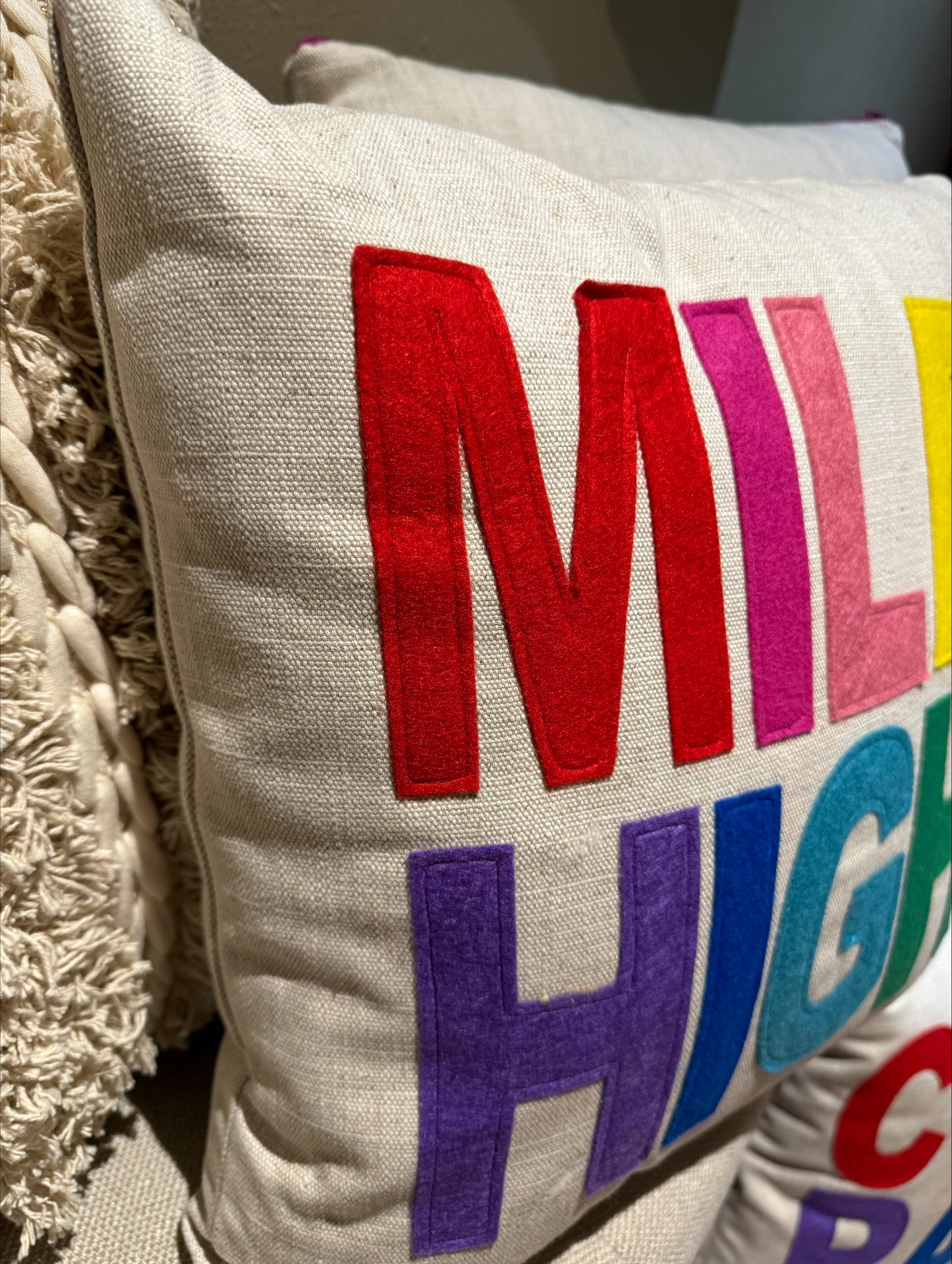 Colorful Colorado pillow & insert