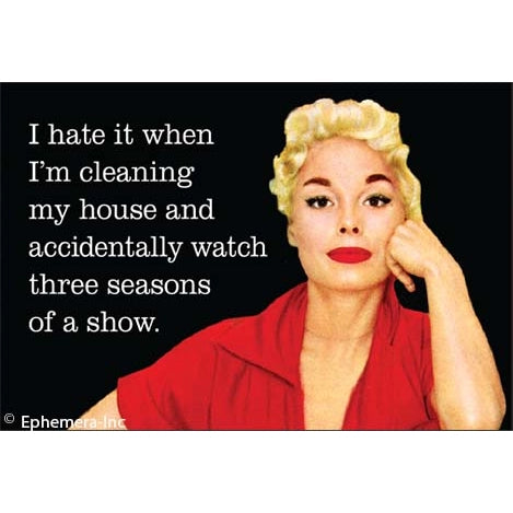 I Hate It When I'm Cleaning Magnet