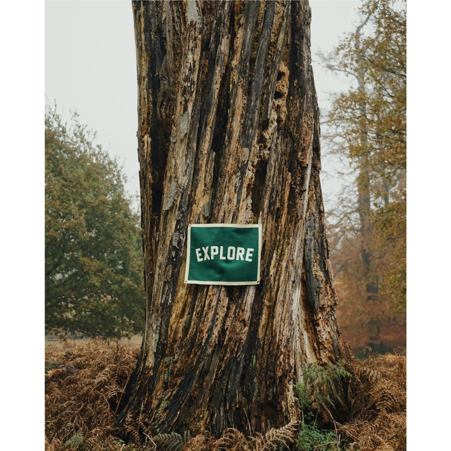Explore. Camp Flag
