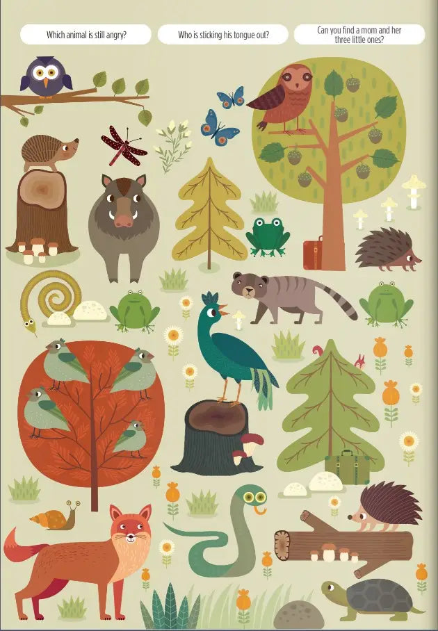 Find Me! Adventurers In The Forest Activity Book