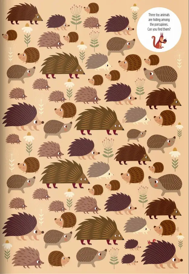 Find Me! Adventurers In The Forest Activity Book