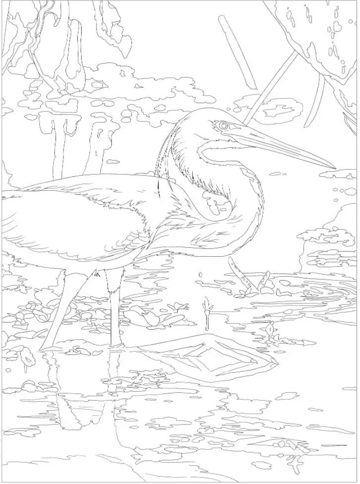 National Parks Coloring Book