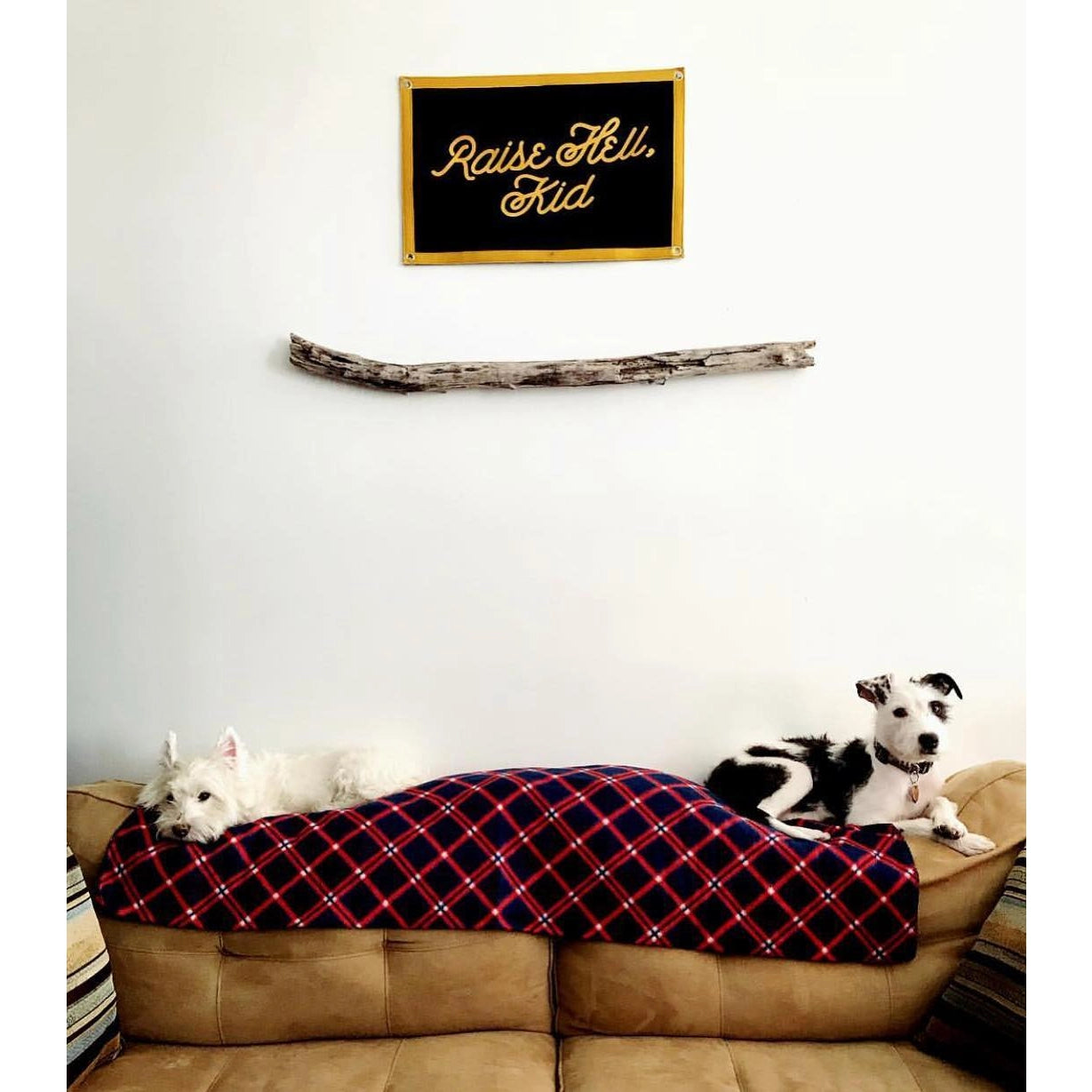 Raise Hell, Kid. Camp Flag