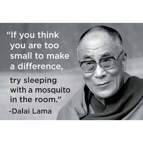 If You Think You Are Too Small To Make A Difference Magnet